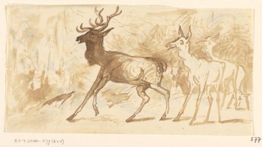 Sketch sheet with stags and heads