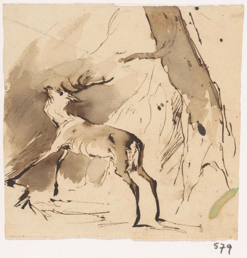 Stag in the woods
