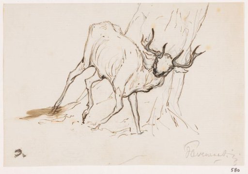 Stag by a tree