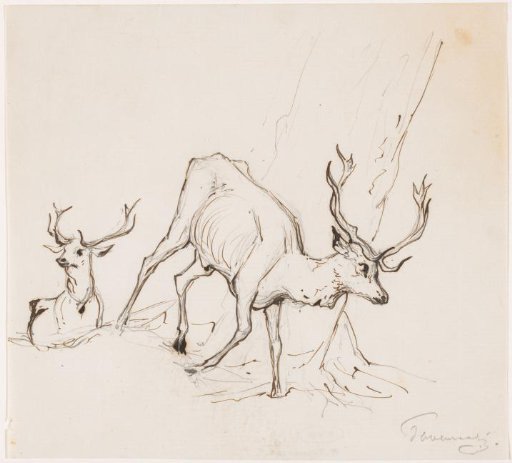 Two stags by a tree