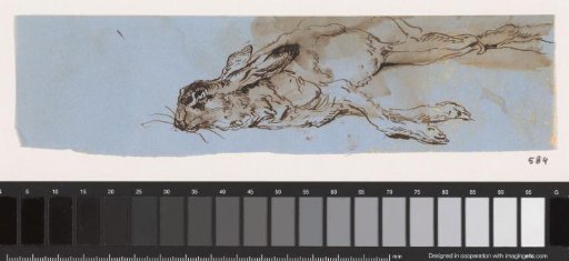 Dead hare