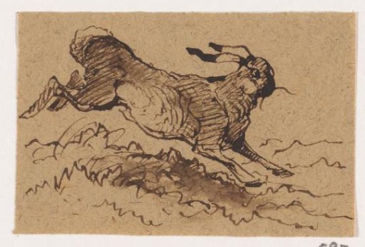 Hare
