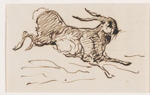 Hare