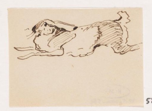 Hare