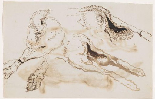 Studies of the hind legs of a dead hare