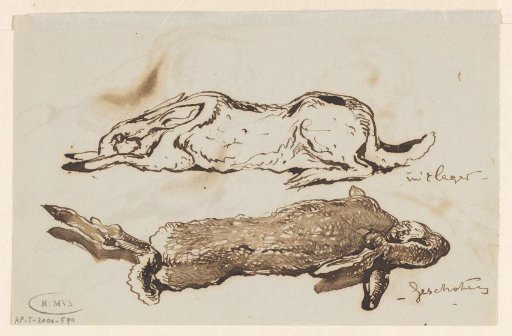 Studies of a living and a dead hare