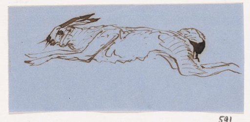Hare