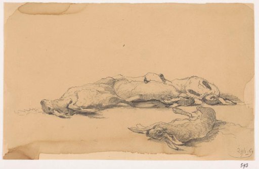 Dead hares