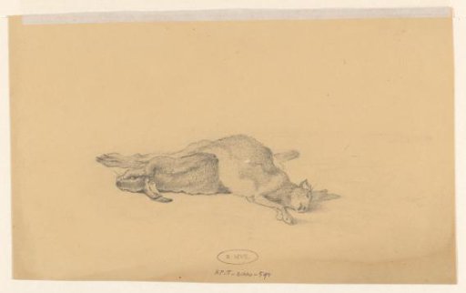 Dead Hares