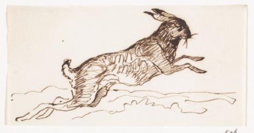 Hare