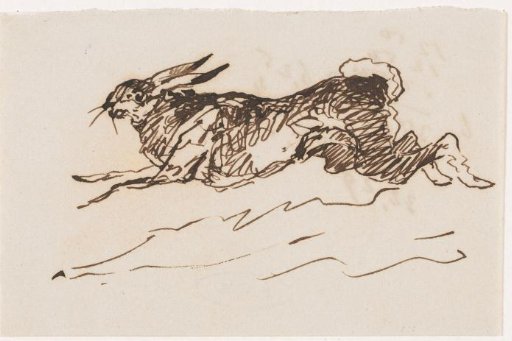 Hare