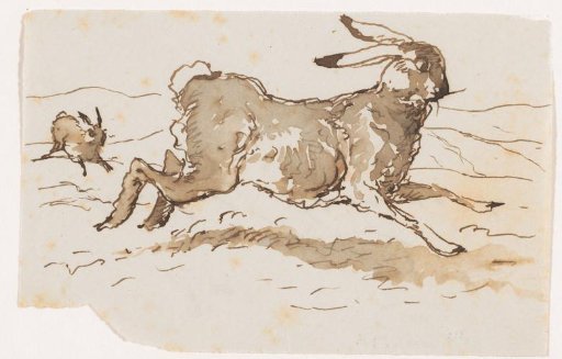 Hare