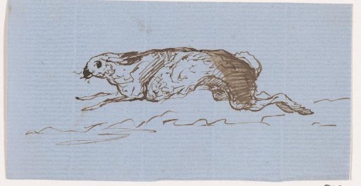 Hare