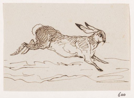 Hare