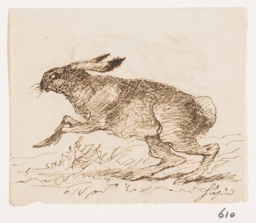 Hare