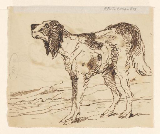 Hunting Dog