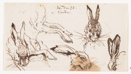 Hares