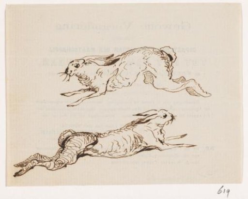 Hare