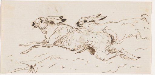 Two hares