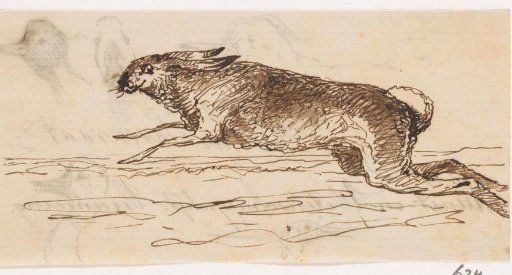 Hare