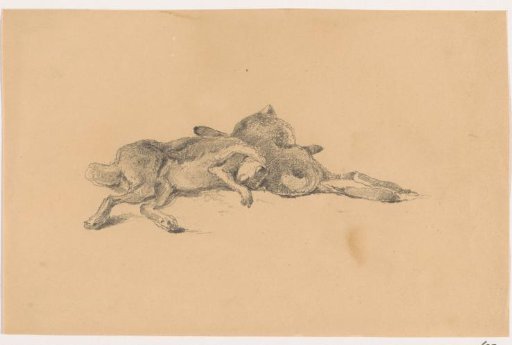 Pair of shot hares