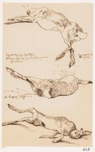 Three studies of a shot hare