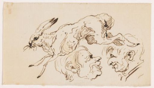 Hare and two heads