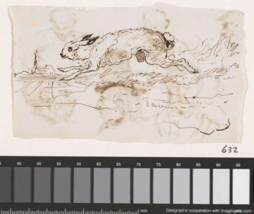 Hare running through the countryside