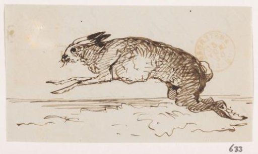Hare