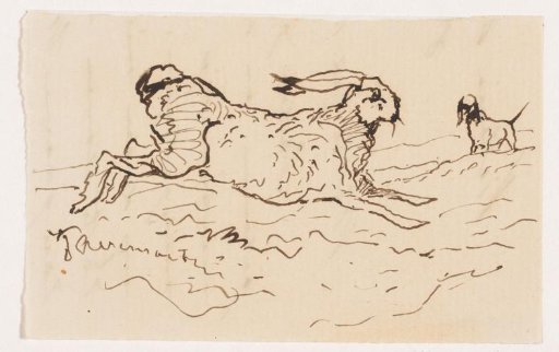 Hare