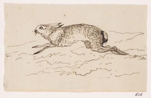 Hare
