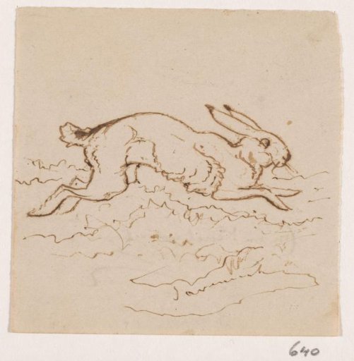 Hare