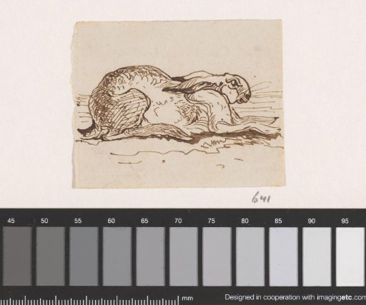 Hare