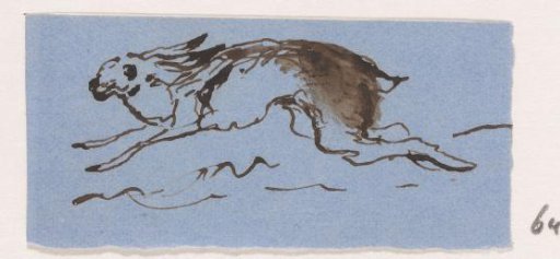 Hare