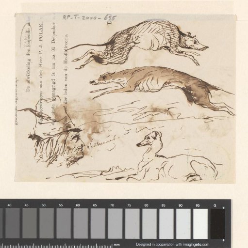 Falconer and greyhounds