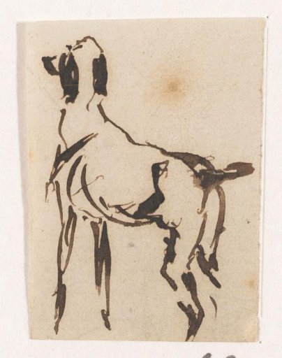 Hunting Dog