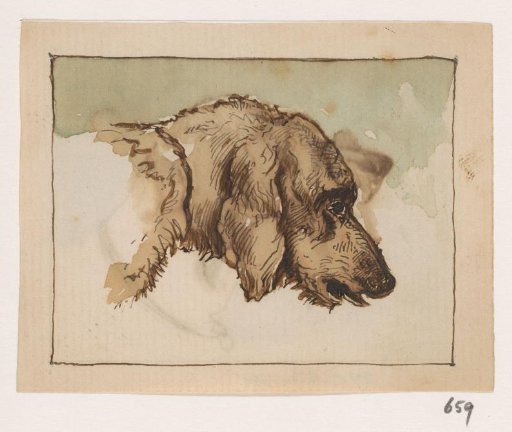 Head of a Dog