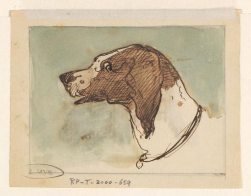 Head of a Dog