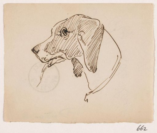 Head of a Dog