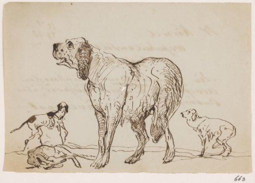 Several Dogs with a Hare