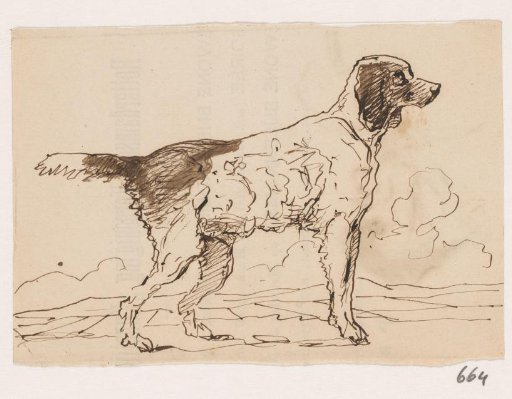Hunting Dog