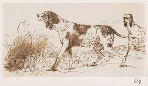 Hunting Dogs in the Field with a Hare