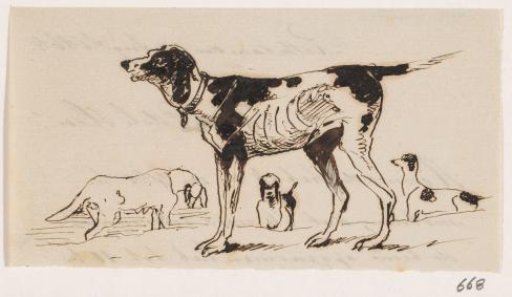 Hunting Dogs