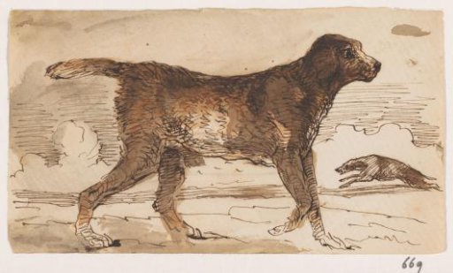 Hunting Dog