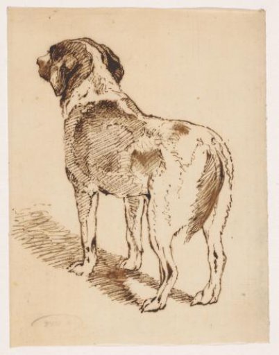 Hunting Dog