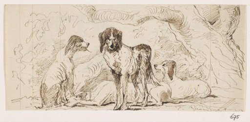 Group of Hunting Dogs Resting Under a Tree