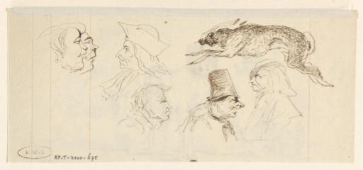Heads and a Hare