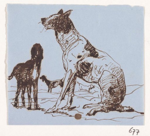 Number of Hunting Dogs in the Field