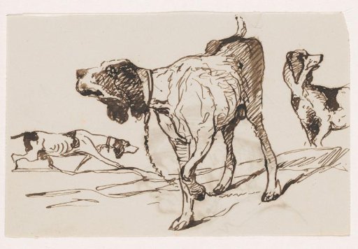 Hunting Dogs