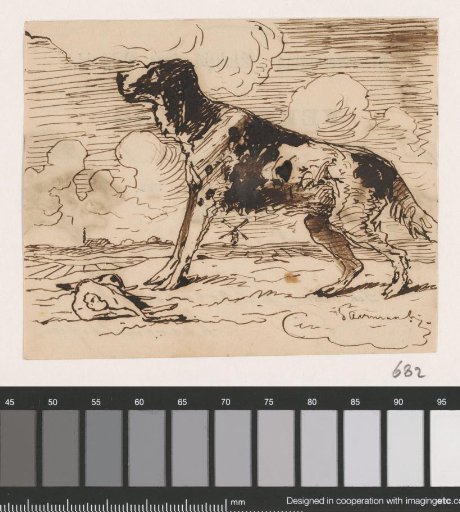 Hunting Dog with a Hare